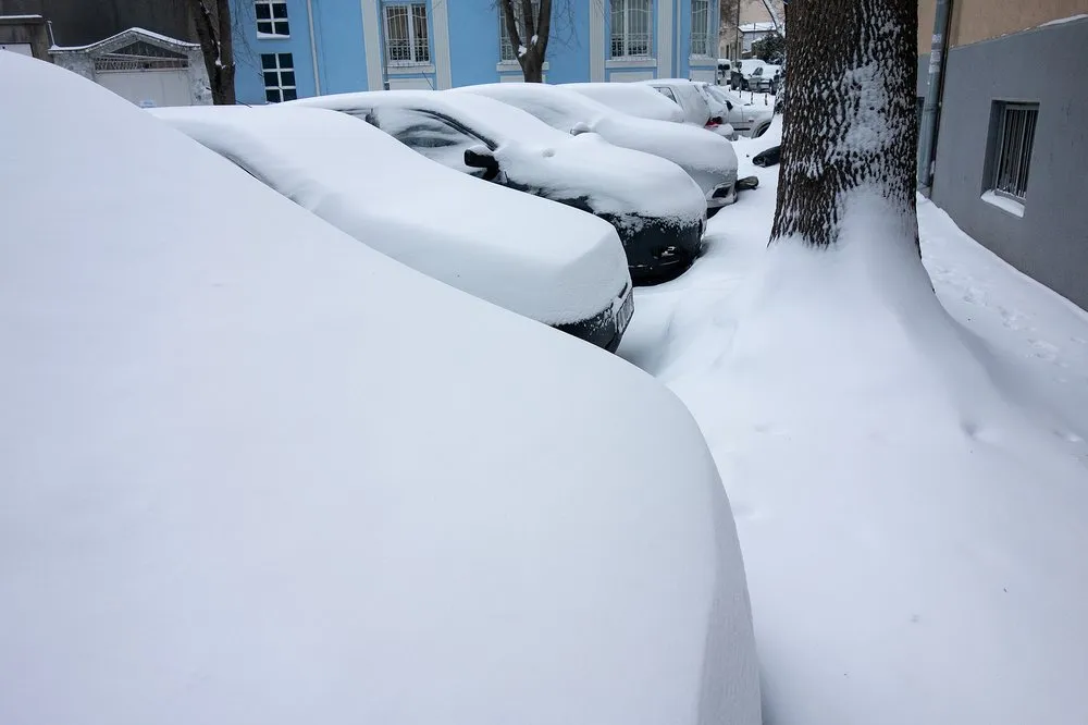 Professional garden landscaping for homes across New Brighton, MN - Detailed Property Services