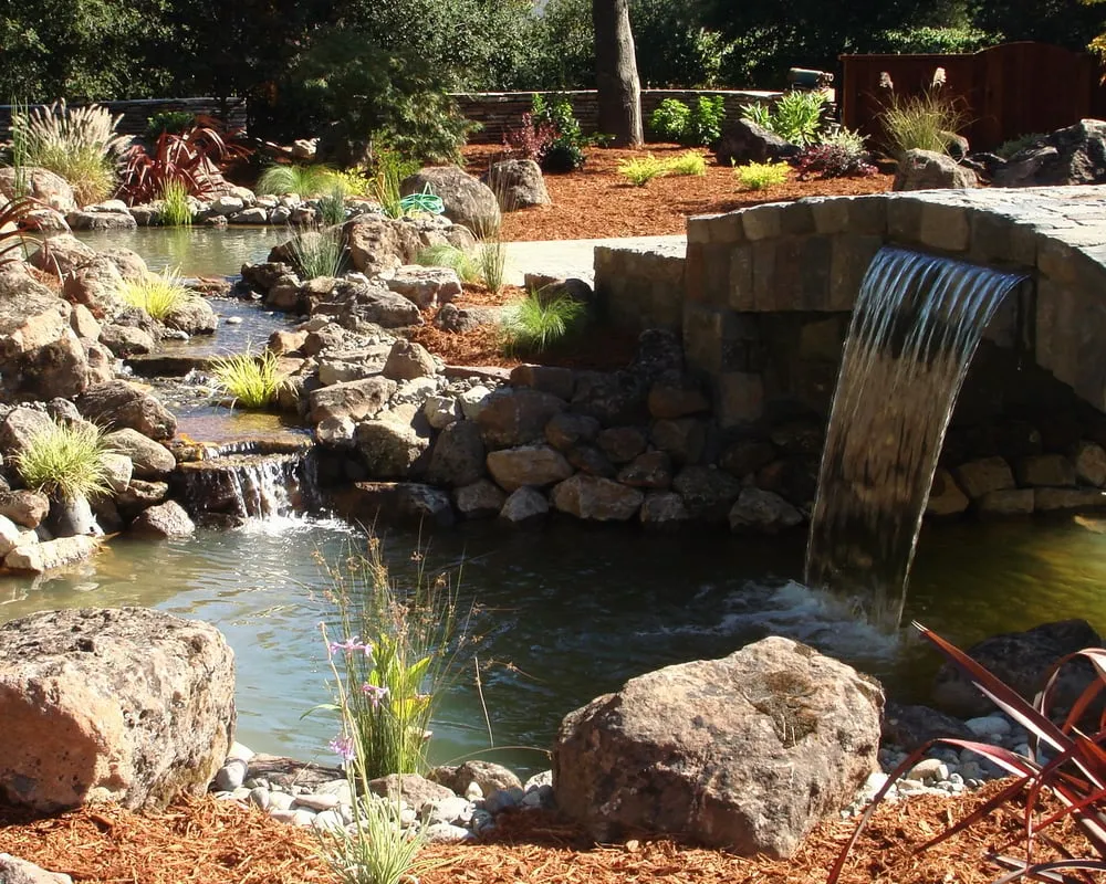 Professional landscaping services for homes in Petaluma, CA by Details Landscape Art