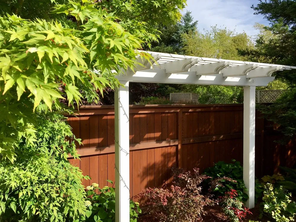 Professional lawn mowing service for year-round maintenance across Petaluma, CA - Details Landscape Art