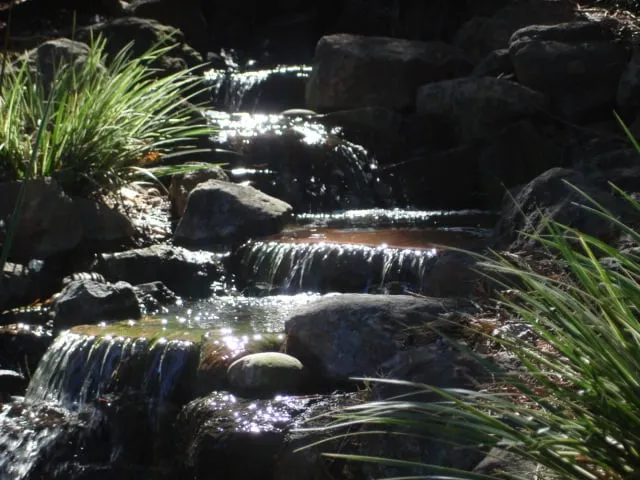 Local landscape installation in Petaluma, CA by Details Landscape Art