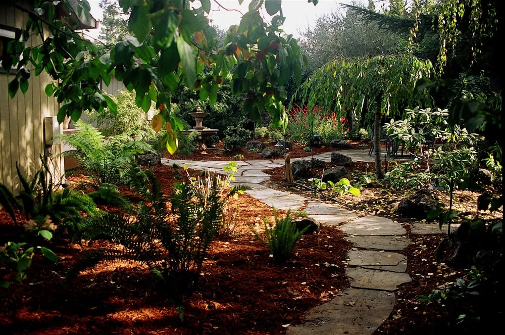 Affordable yard maintenance in Petaluma, CA by Details Landscape Art