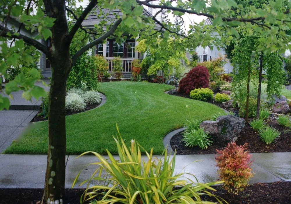Trusted residential landscaping in Petaluma, CA by Details Landscape Art