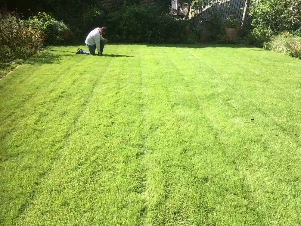 Custom outdoor landscaping in Birmingham, AL - Details Lawn Care