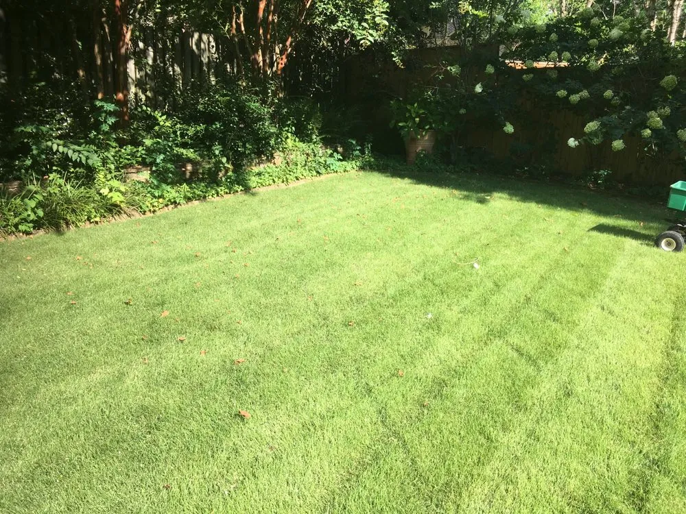 Affordable yard maintenance experts serving Birmingham, AL - Details Lawn Care
