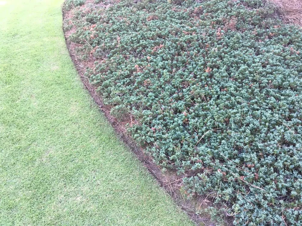 Local landscape design for homes across Birmingham, AL - Details Lawn Care