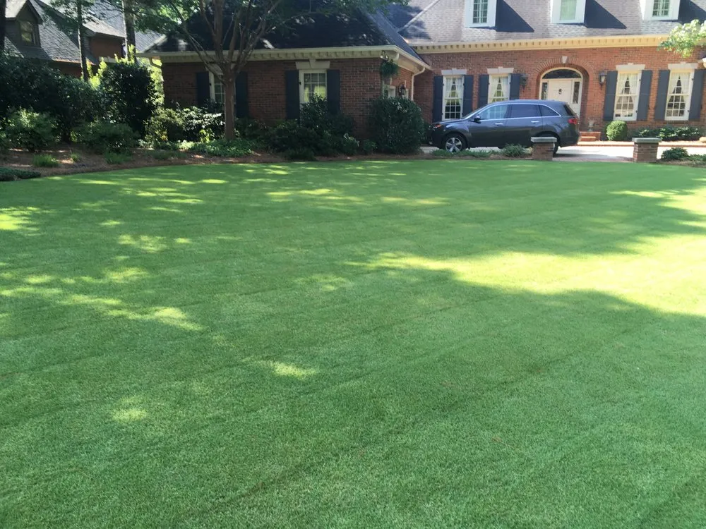 Reliable landscaping services for beautiful yards across Birmingham, AL - Details Lawn Care