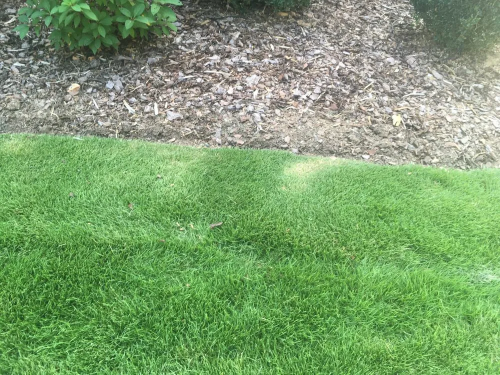 Reliable landscape design experts serving Birmingham, AL - Details Lawn Care