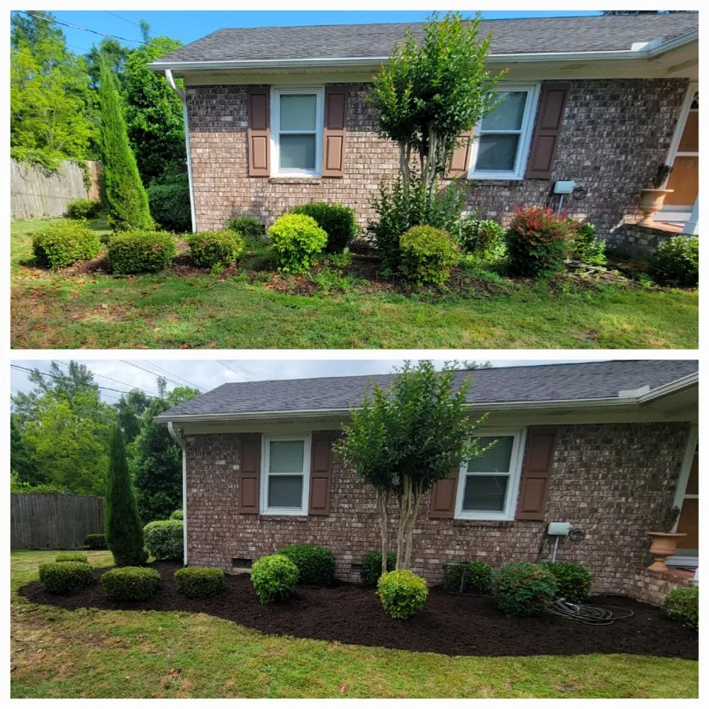 Professional garden landscaping in Ladson, SC by Detailz Property Improvements