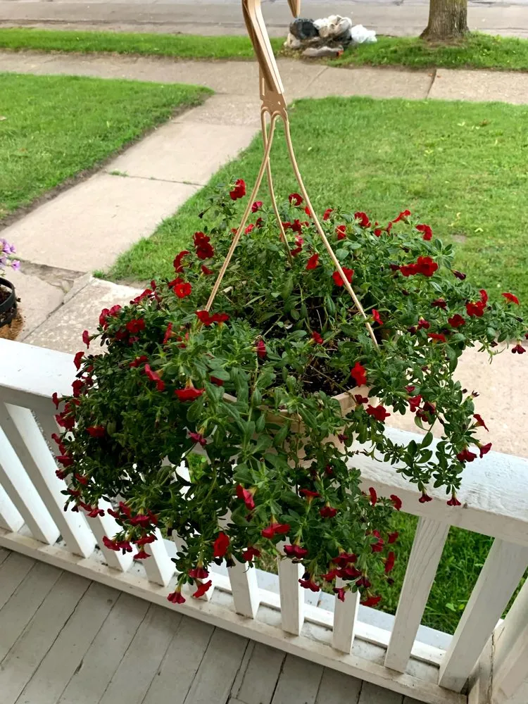 Reliable landscape design in Corning, NY - DETER LAWN SCULPTURES