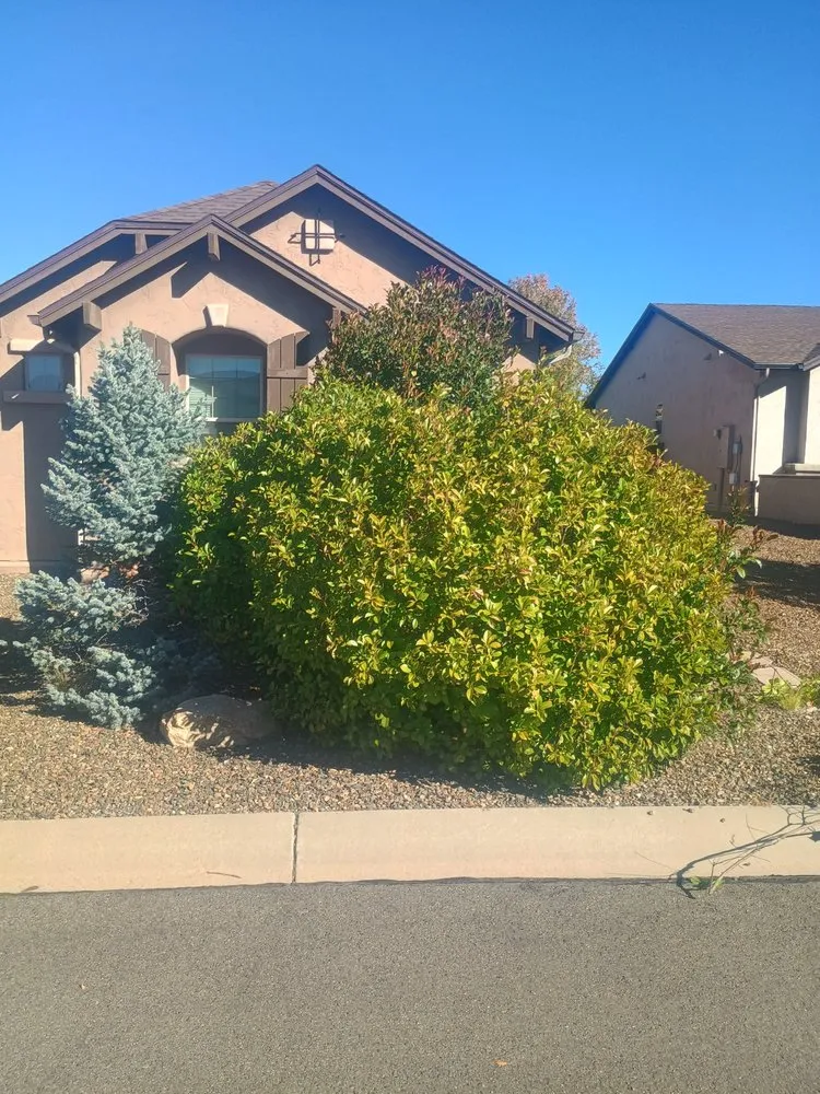 Expert residential landscaping experts serving Prescott, AZ - Determination Landscape Maintenance
