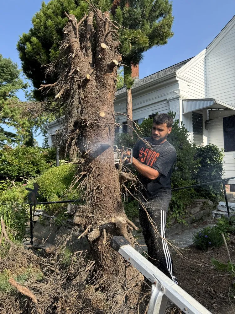 Top-rated landscape design in Dartmouth, MA - DeTerra Lawn Care & More