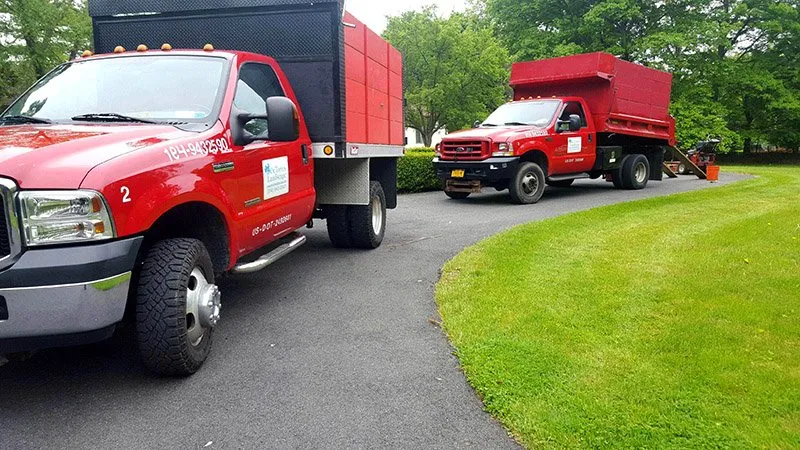 Professional yard cleanup service near you across New Rochelle, NY - Detorres Landscape