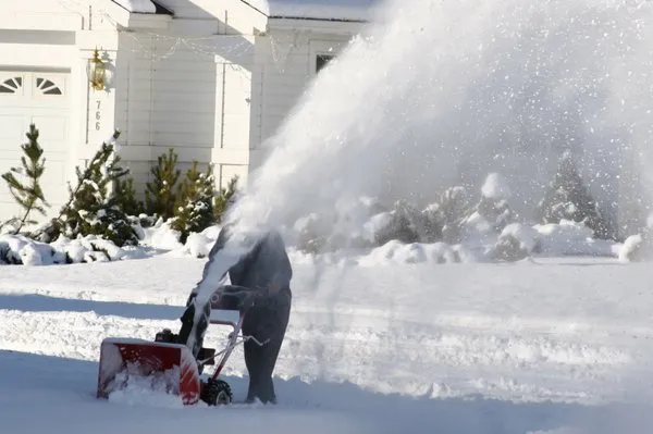 Detorres Landscape Logo