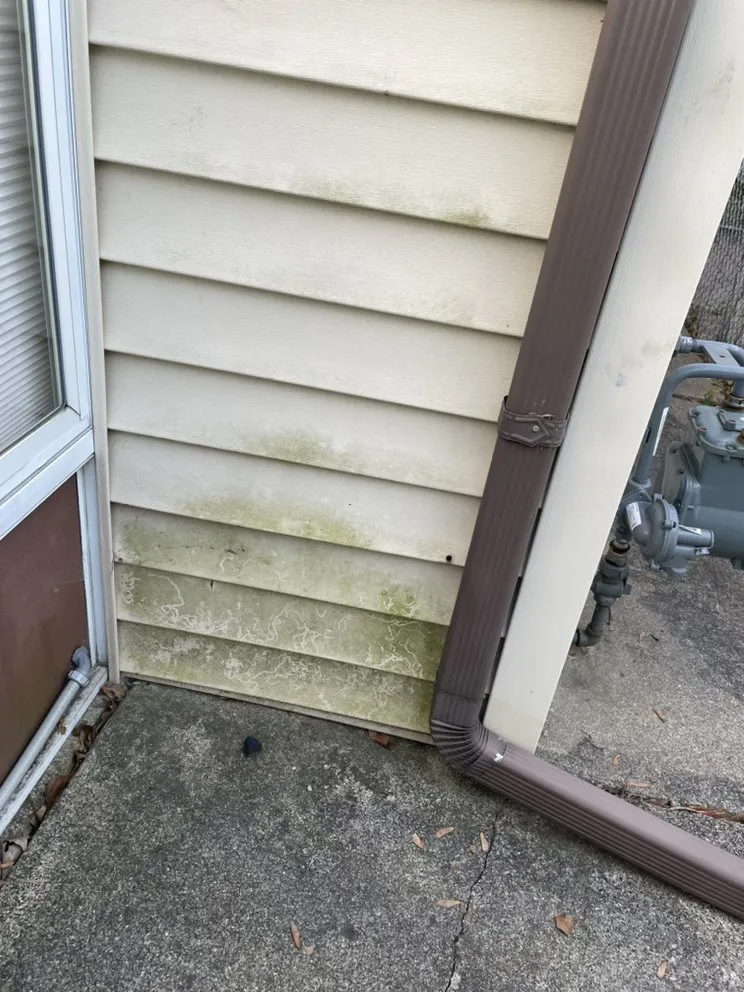 Expert yard cleanup service with custom design in River Rouge, MI by Detroit Ground Maintenance And Power Washing