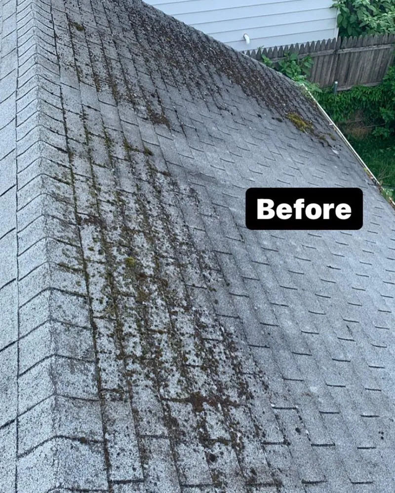 Expert garden landscaping in Bloomfield Hills, MI - Detroit Landscaping Company