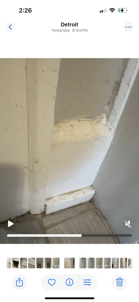 Expert lawn mowing service in Detroit, MI - Detroit Management and Consulting