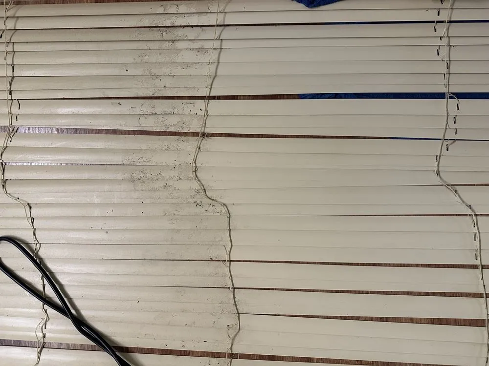 Local landscape design for homes across Detroit, MI - Detroit Management and Consulting