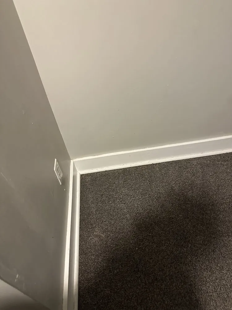 Trusted residential landscaping experts serving Detroit, MI - Detroit Management and Consulting