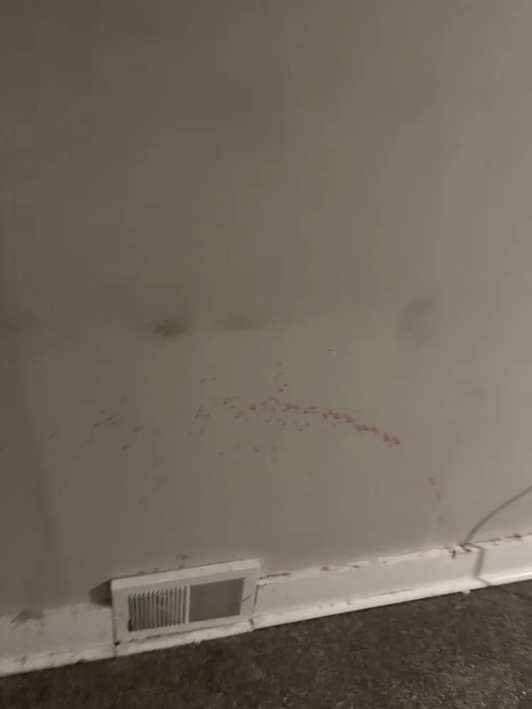 Expert lawn care service experts serving Detroit, MI - Detroit Management and Consulting