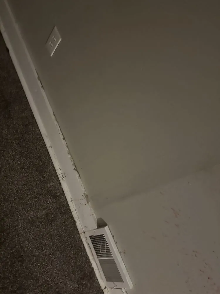 Affordable garden landscaping for beautiful yards across Detroit, MI - Detroit Management and Consulting