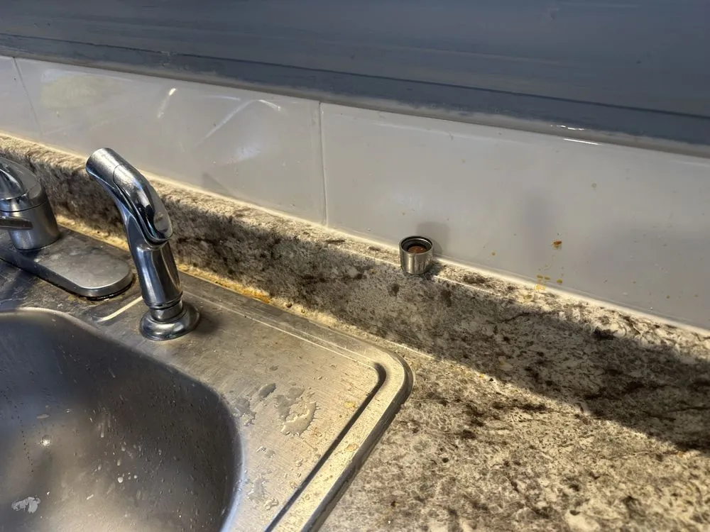 Local outdoor landscaping for homes across Detroit, MI - Detroit Management and Consulting