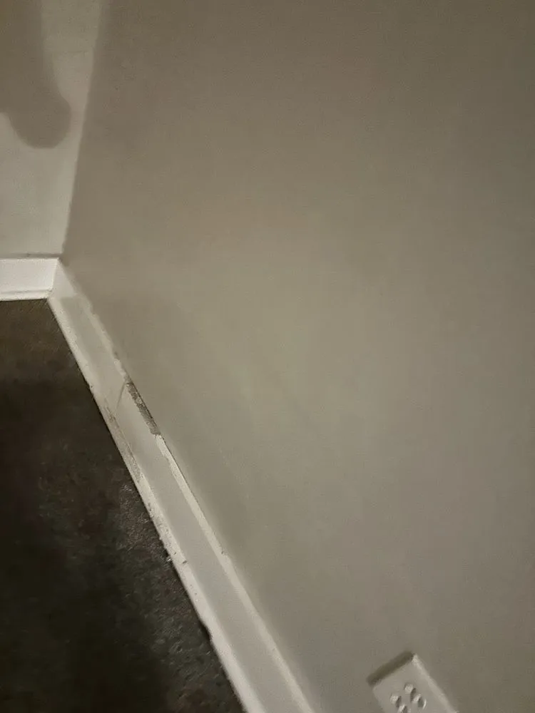 Professional outdoor landscaping experts serving Detroit, MI - Detroit Management and Consulting