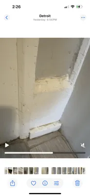 Detroit Management and Consulting Logo