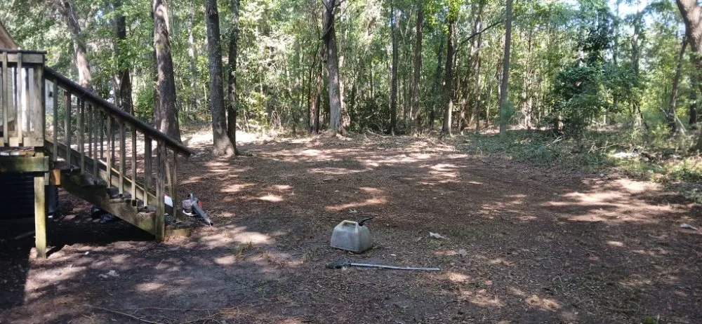 Professional landscape design in Blackville, SC - Detroit's Cars Lawn