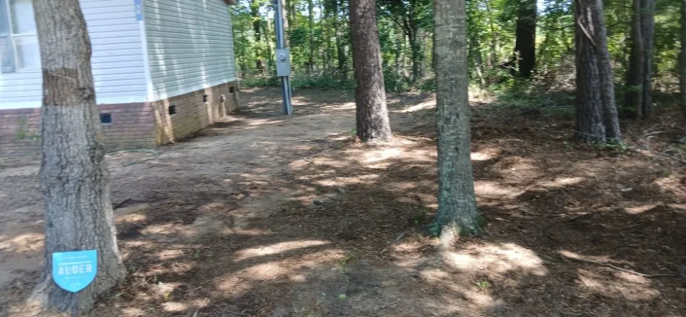 Custom yard cleanup service for beautiful yards across Blackville, SC - Detroit's Cars Lawn