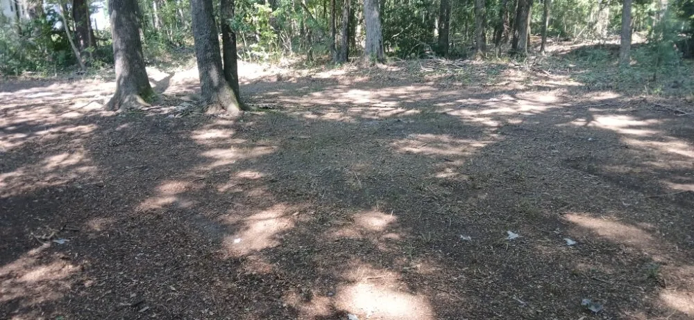 Expert landscape installation near you across Blackville, SC - Detroit's Cars Lawn