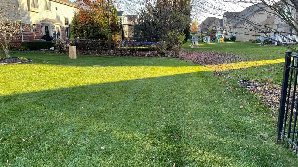 Custom lawn mowing service for outdoor upgrades across Eastpointe, MI - Detweiler Outdoor Services