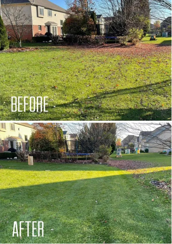 Custom yard maintenance for beautiful yards in Eastpointe, MI by Detweiler Outdoor Services