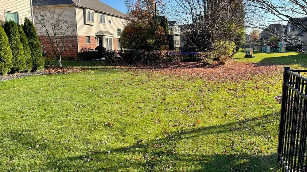 Trusted yard cleanup service for outdoor upgrades in Eastpointe, MI by Detweiler Outdoor Services