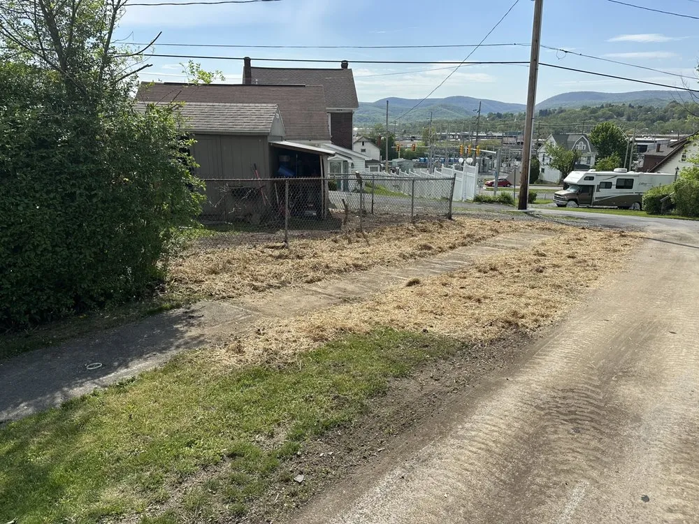 Reliable yard cleanup service in Tyrone, PA by Detwiler Contracting Services