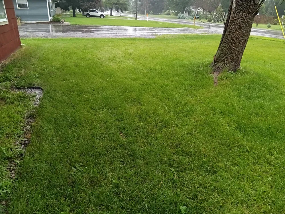 Expert lawn mowing service for outdoor upgrades across Brooklyn Park, MN - Deuce First Landscaping