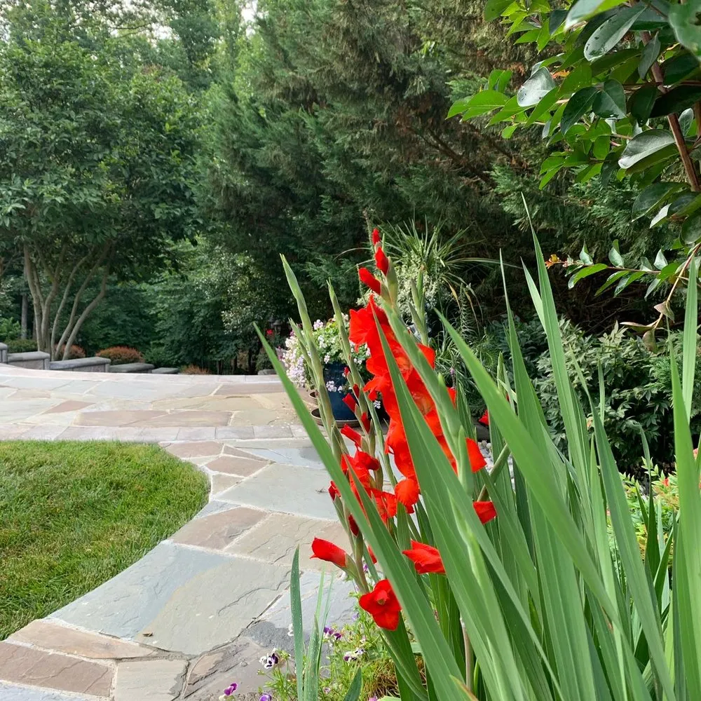 Professional landscaping services with custom design across Spotsylvania, VA - Deuces Garden and Patio Creations