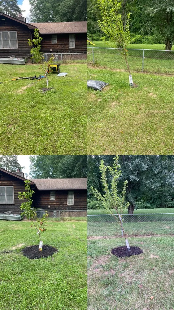 Local landscape design for homes in Atlanta, GA by Deuce’s Lawn Care