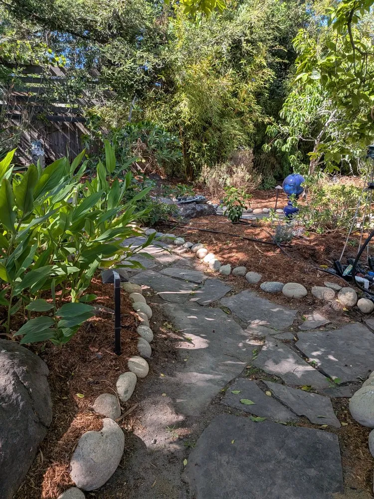 Affordable lawn care service in Santa Cruz, CA - Deva Gardens