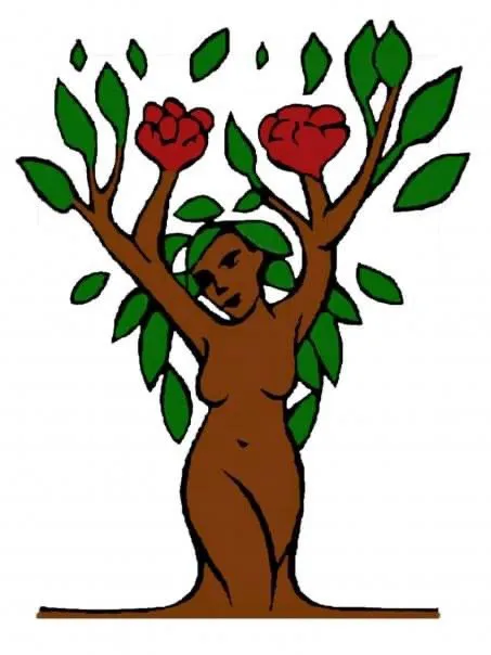 Custom yard maintenance for beautiful yards across Santa Cruz, CA - Deva Gardens