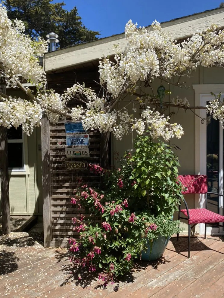 Affordable landscape installation for beautiful yards across Santa Cruz, CA - Deva Gardens