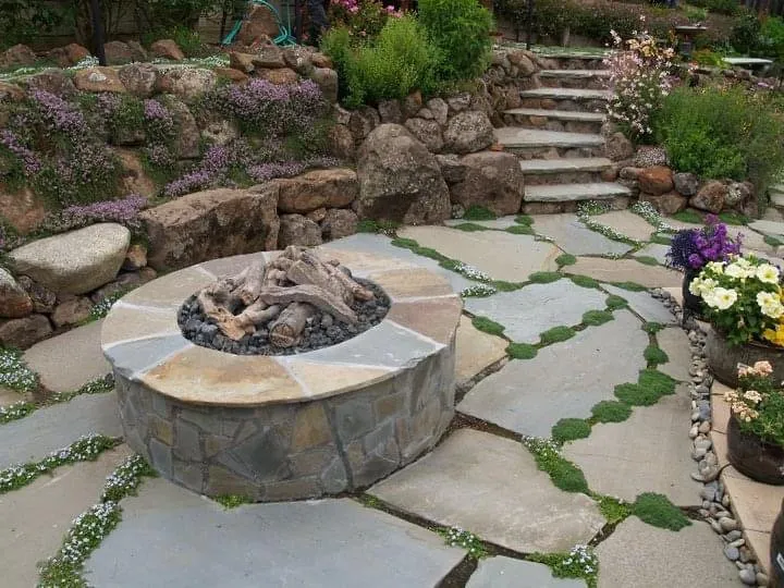 Local lawn care service experts serving Santa Cruz, CA - Deva Gardens