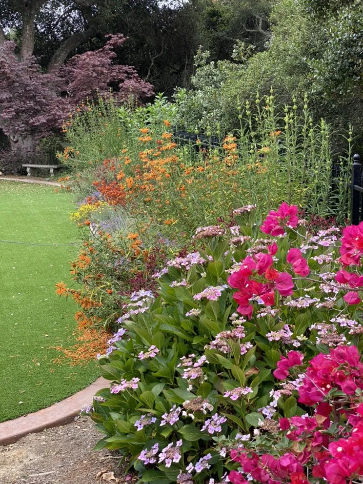 Local landscape installation in Santa Cruz, CA - Deva Gardens