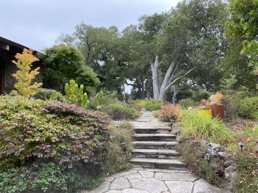 Expert landscape installation in Santa Cruz, CA by Deva Gardens