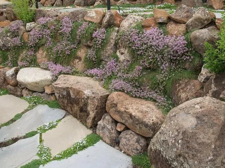 Local landscaping services experts serving Santa Cruz, CA - Deva Gardens