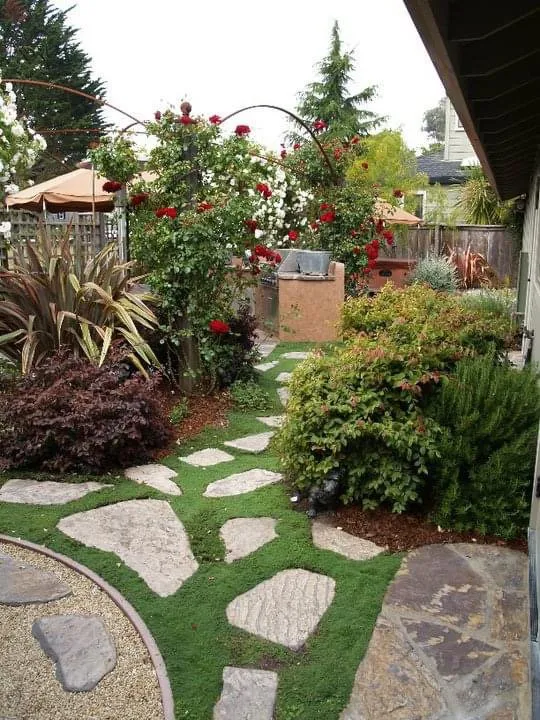 Top-rated lawn care service for homes in Santa Cruz, CA by Deva Gardens