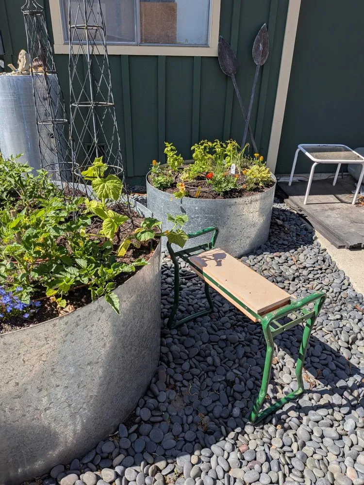 Affordable landscape design experts serving Santa Cruz, CA - Deva Gardens