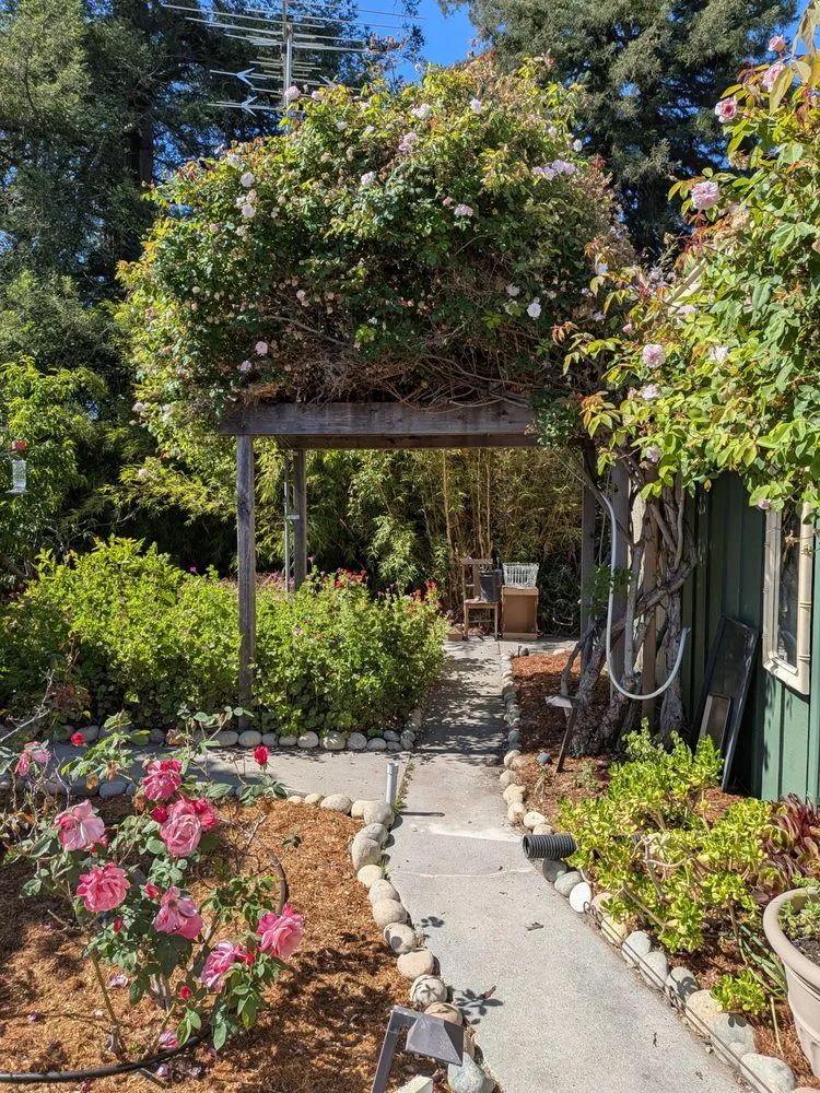 Local outdoor landscaping experts serving Santa Cruz, CA - Deva Gardens