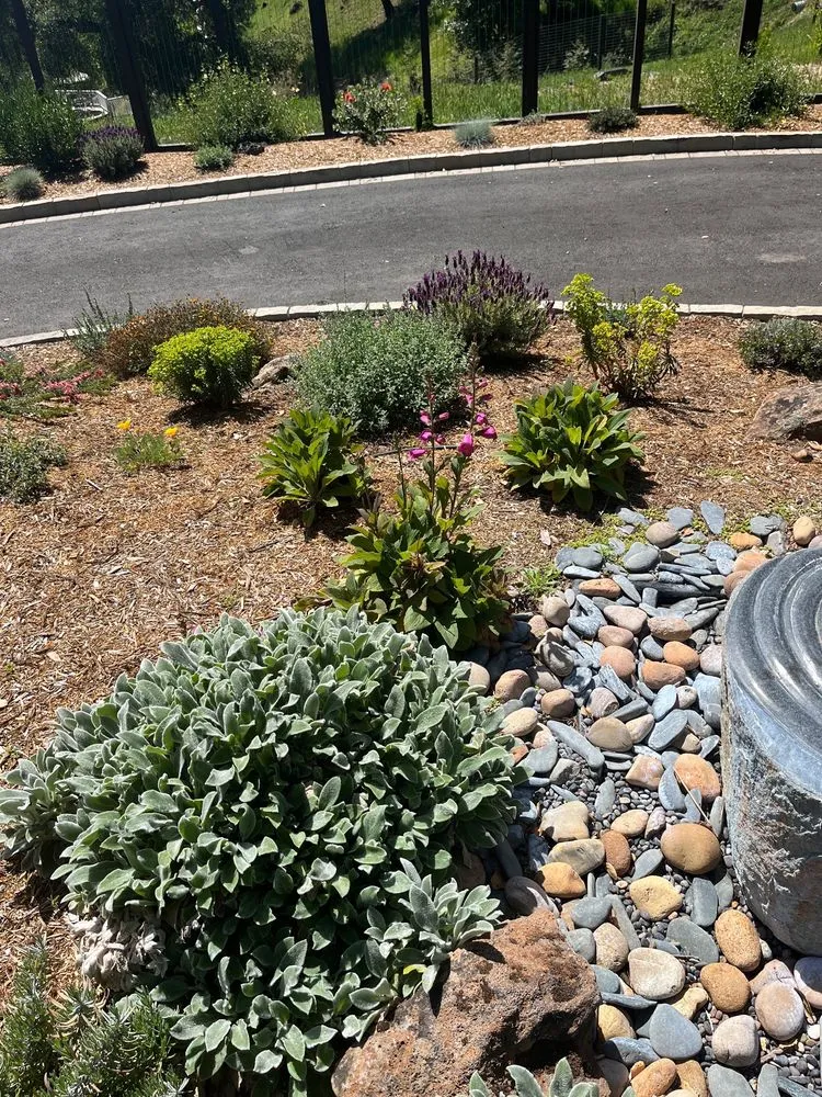 Local landscape installation in Santa Cruz, CA - Deva Gardens