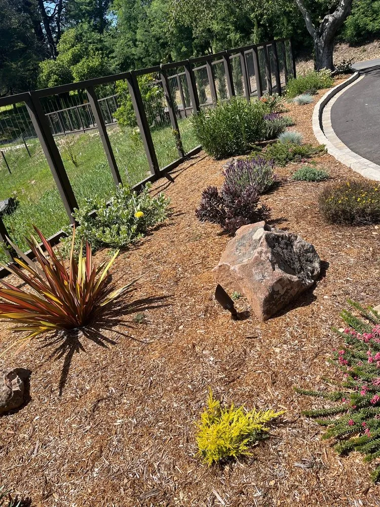 Custom lawn care service experts serving Santa Cruz, CA - Deva Gardens