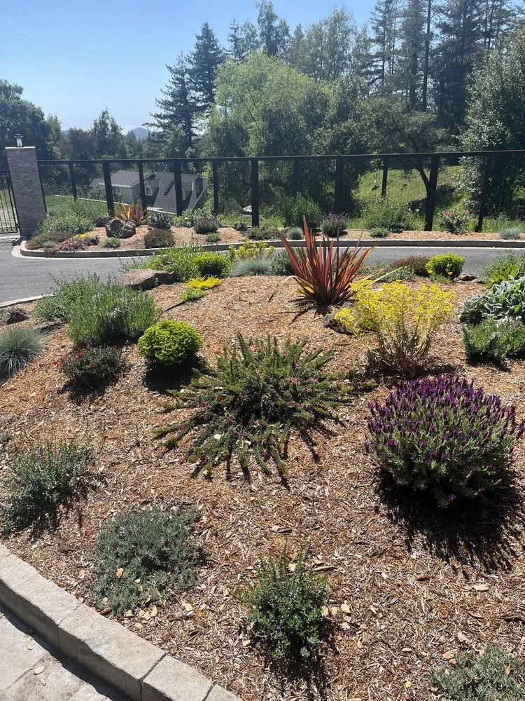 Reliable yard cleanup service experts serving Santa Cruz, CA - Deva Gardens